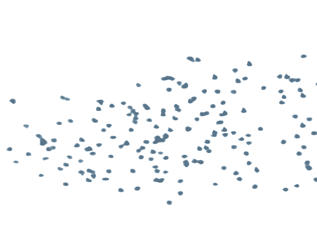 birds01