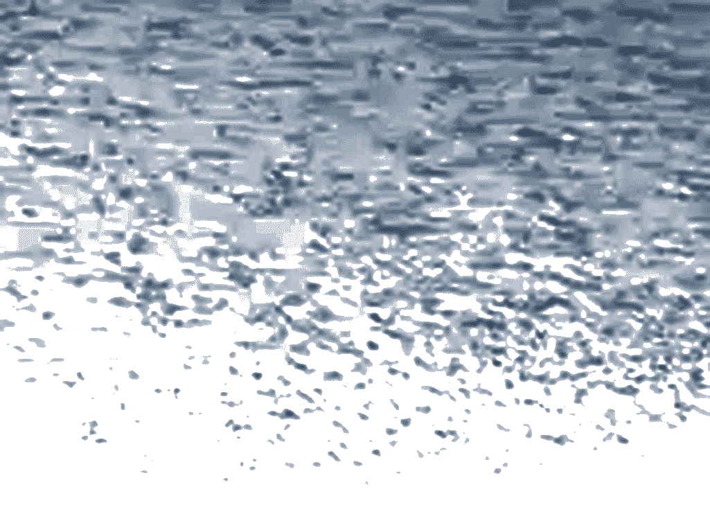 birds02