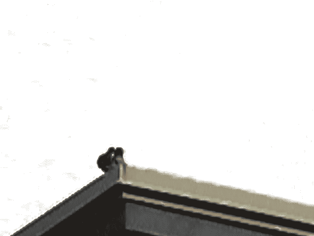 boids
